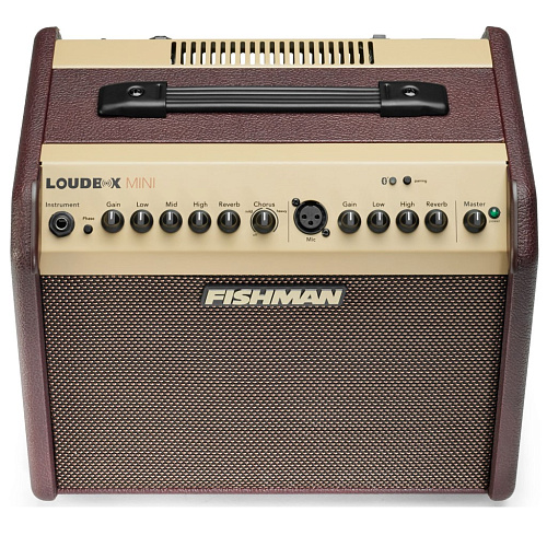 Fishman PRO-LBT-EU5 LoudBox Mini Bluetooth Комбоусилитель для акустической гитары.