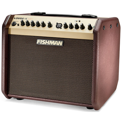 Fishman PRO-LBT-EU5 LoudBox Mini Bluetooth Комбоусилитель для акустической гитары.